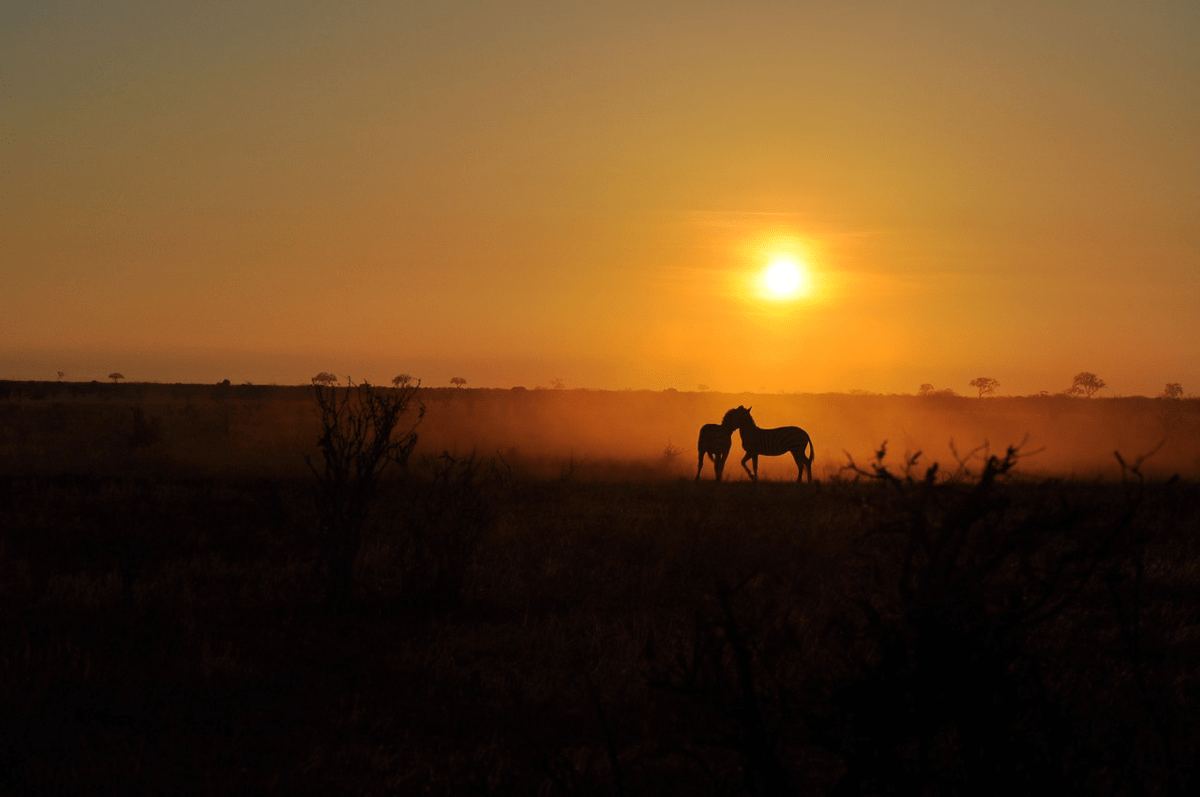  African savannah - Budget Safari in Kenya