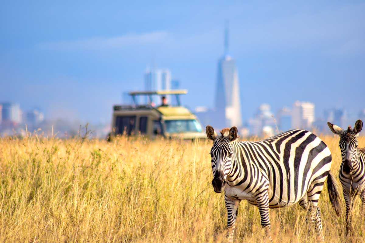 Parc national de Nairobi