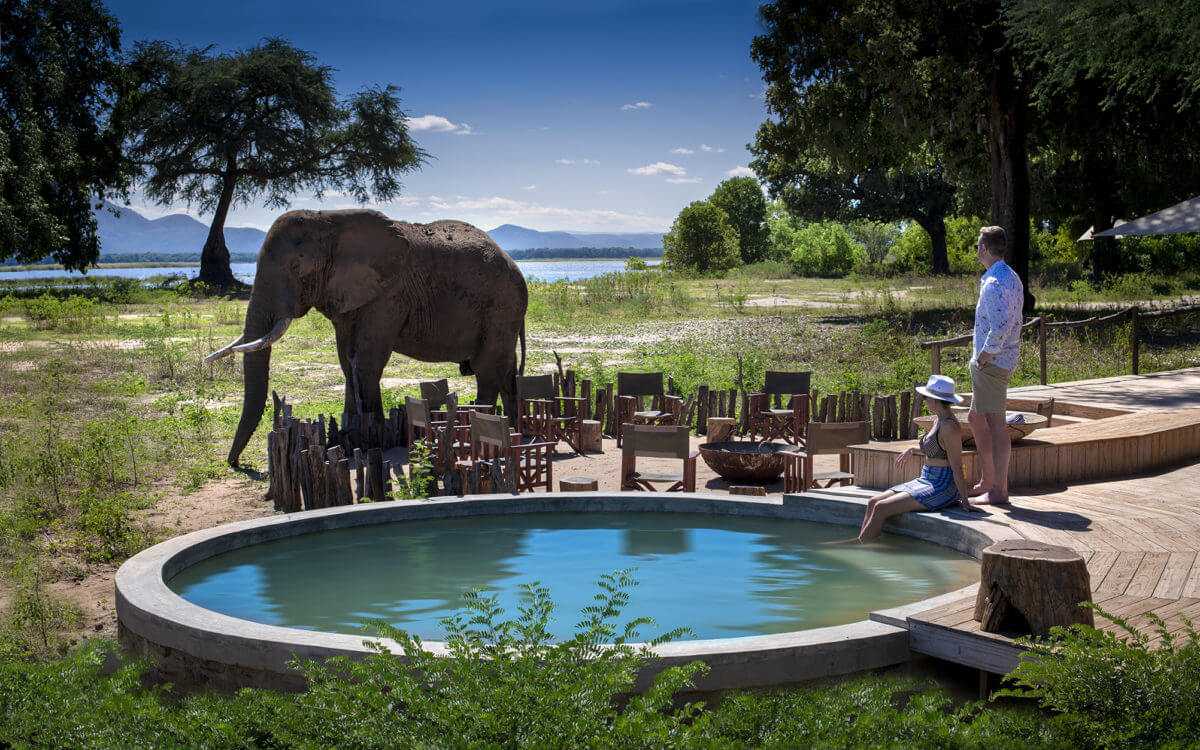 Nyamatusi Camp, Zimbabwe