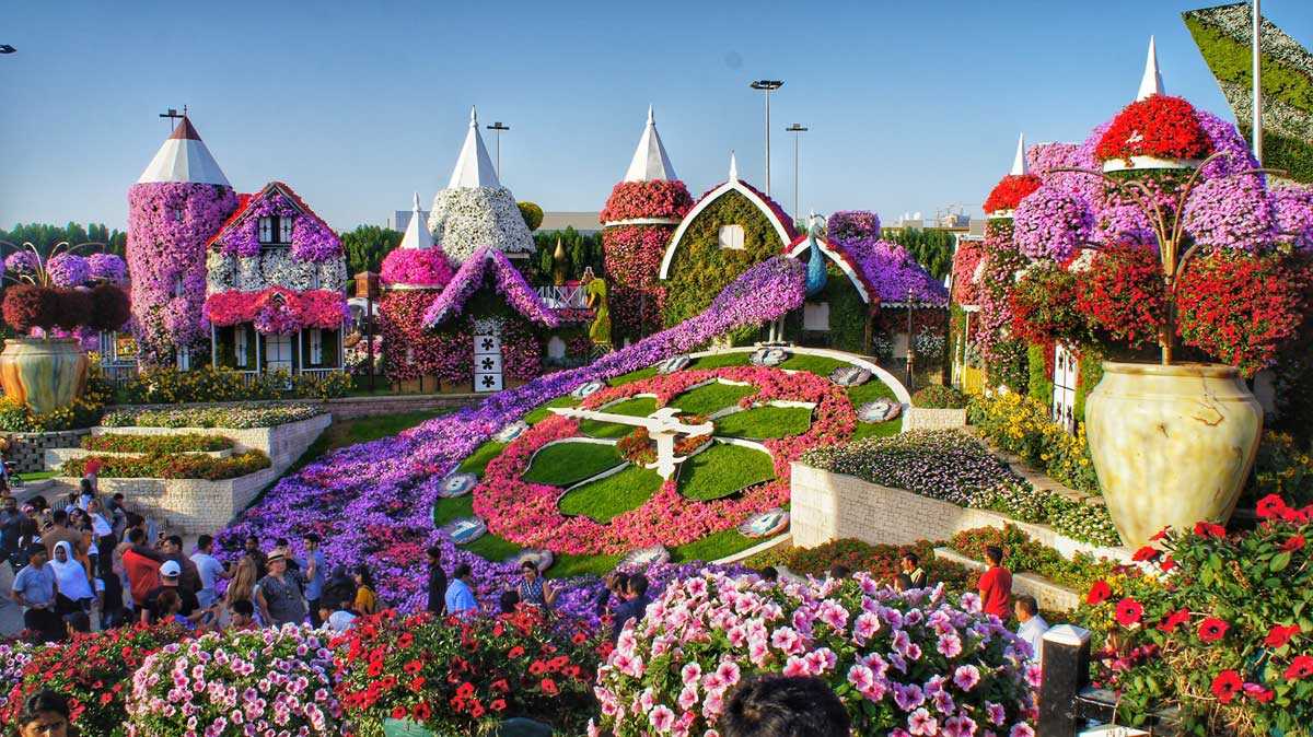 Dubai Miracle Garden - Best Things to Do in Dubai